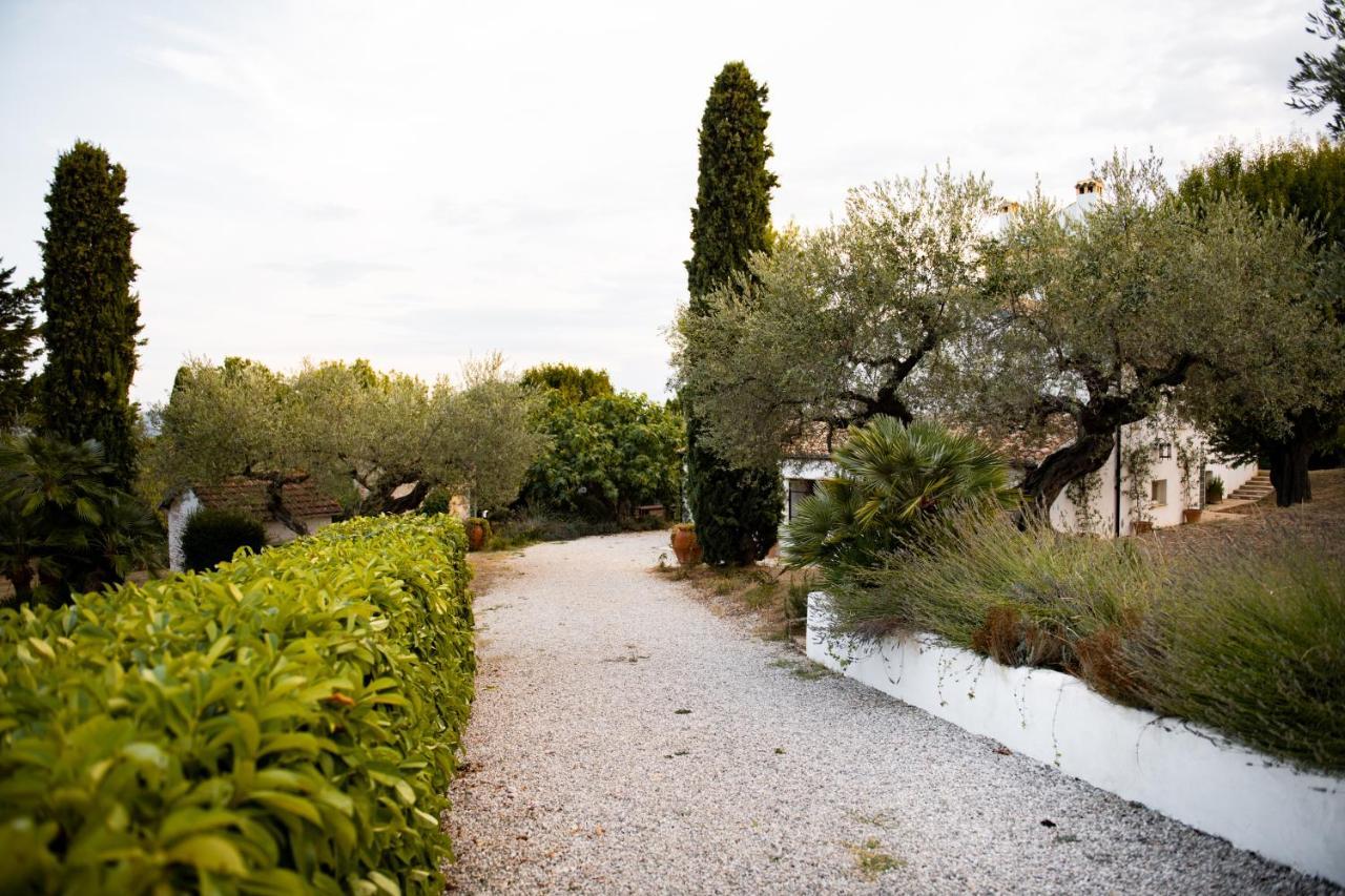 Casale Delle Lavande Citta Sant'Angelo Dış mekan fotoğraf