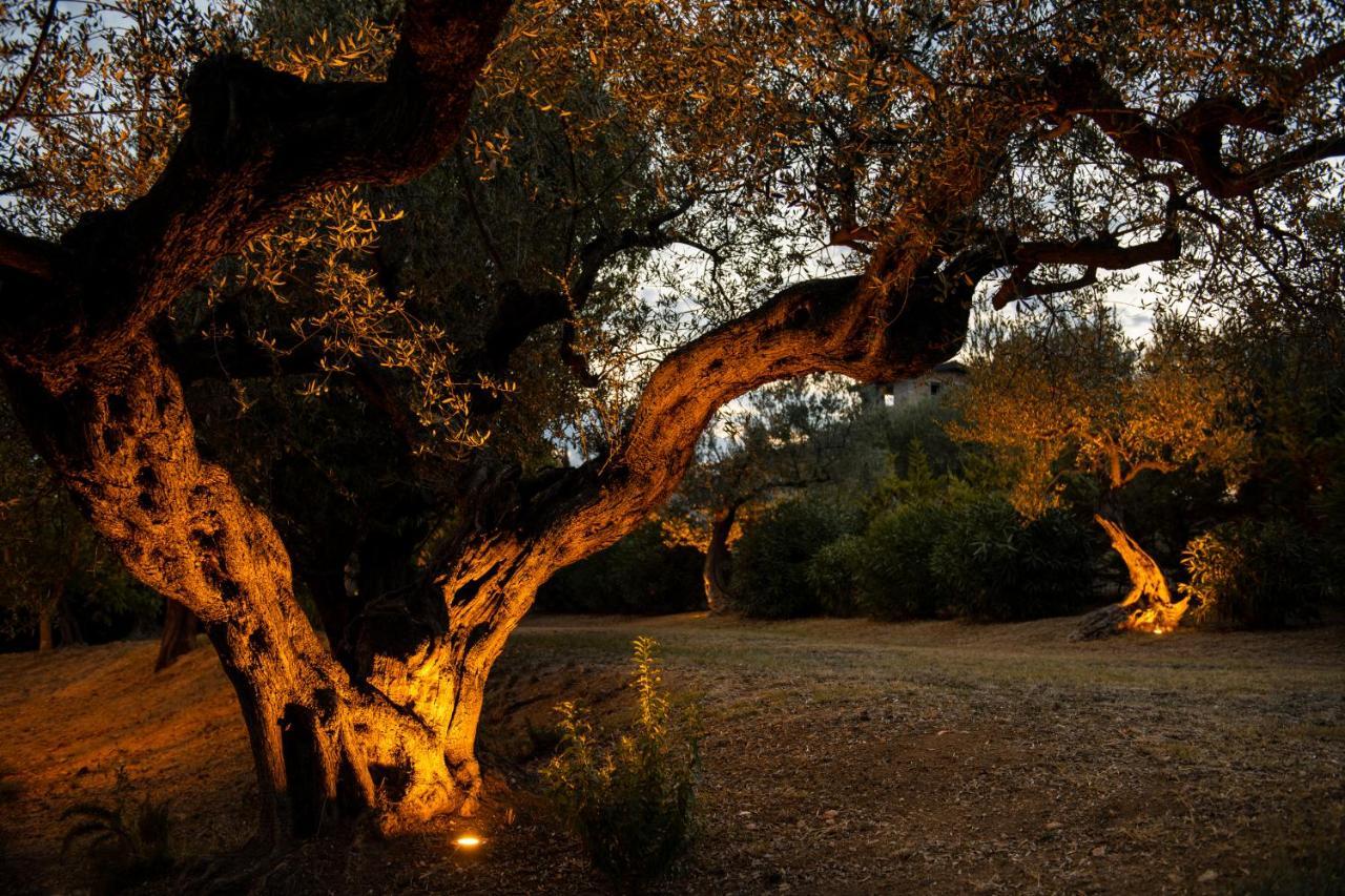 Casale Delle Lavande Citta Sant'Angelo Dış mekan fotoğraf