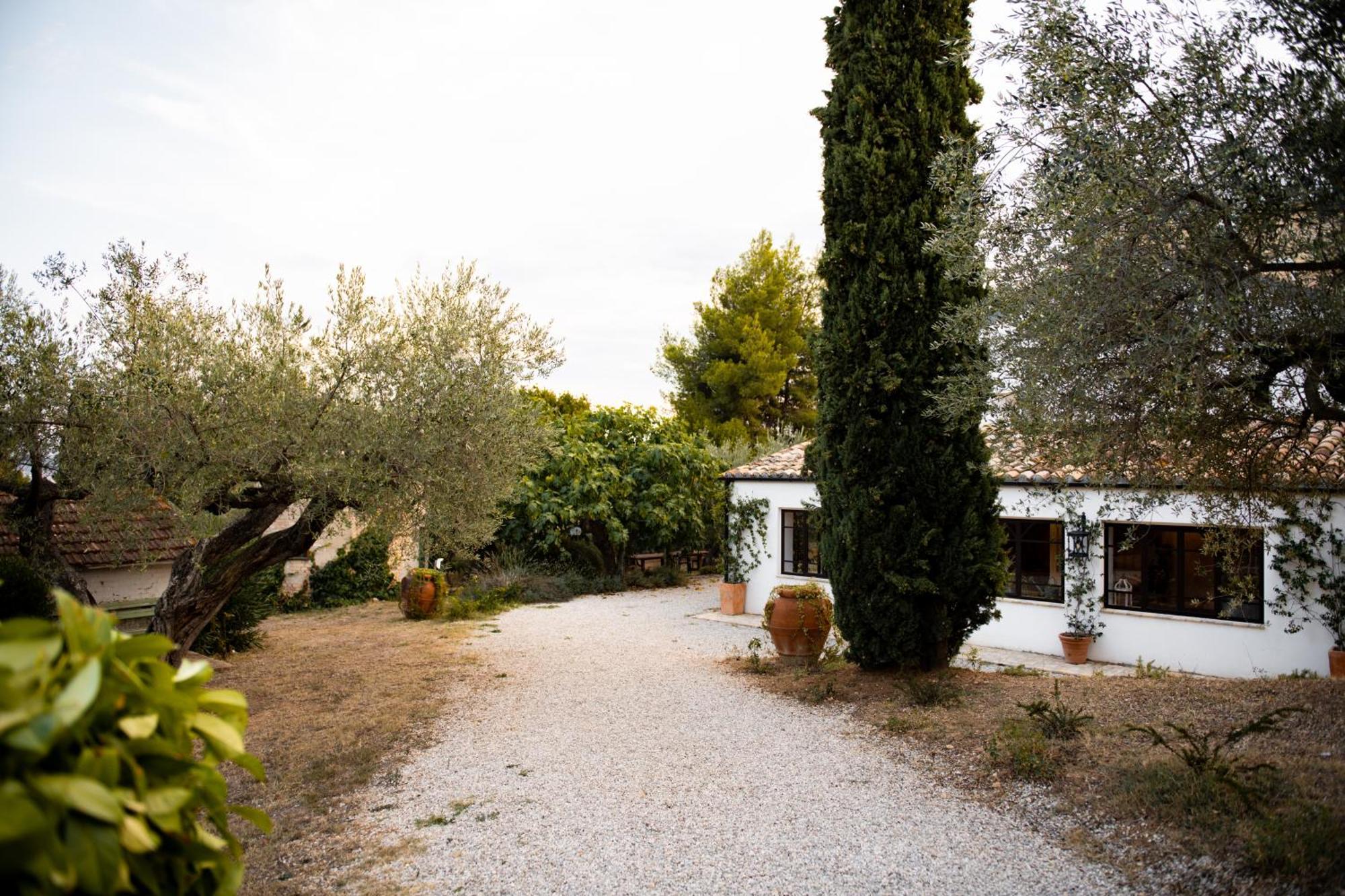 Casale Delle Lavande Citta Sant'Angelo Dış mekan fotoğraf