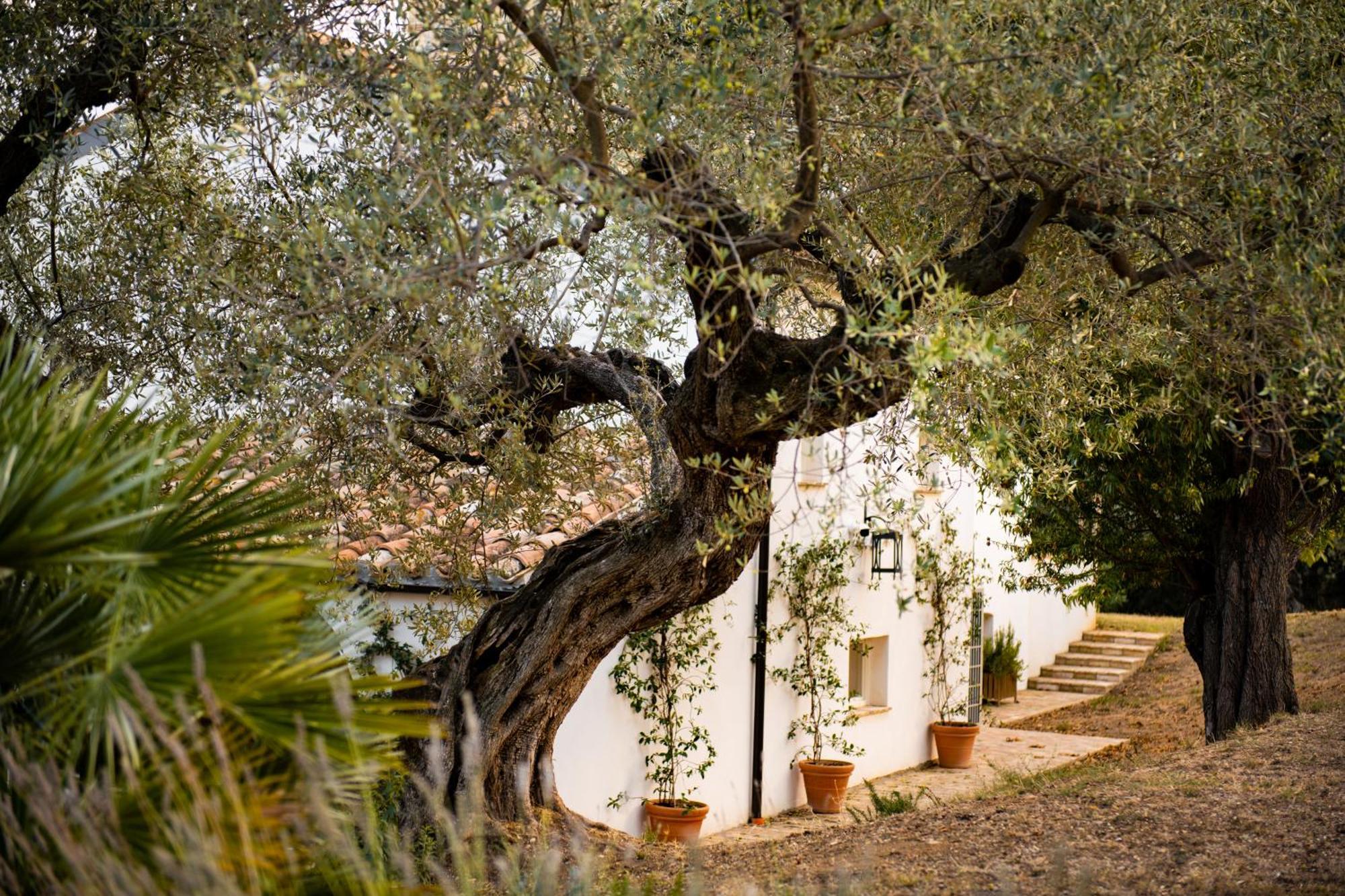 Casale Delle Lavande Citta Sant'Angelo Dış mekan fotoğraf